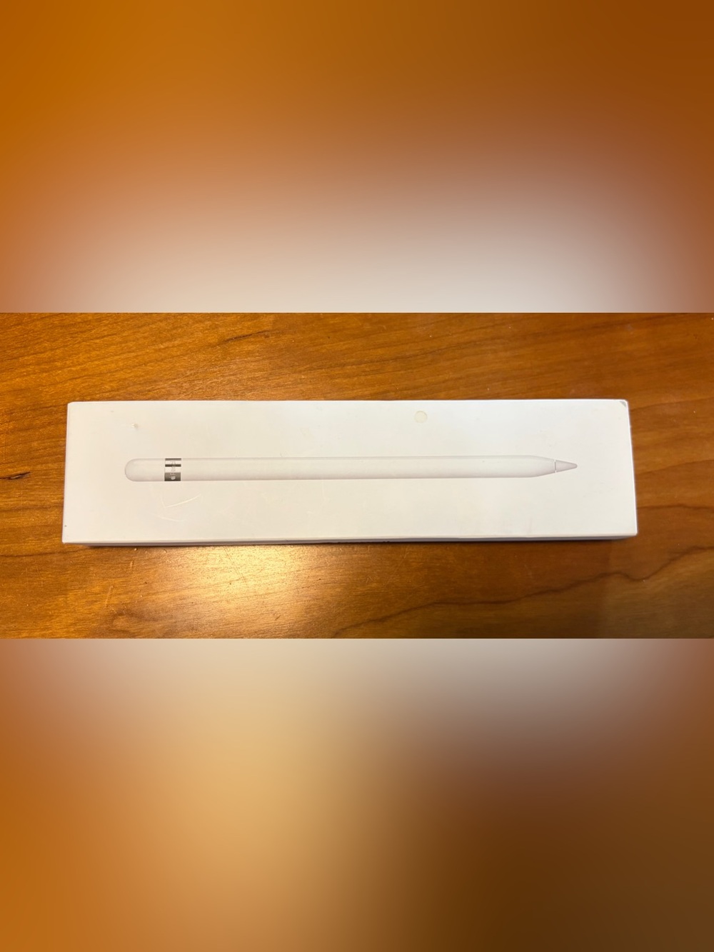 Apple Pencil (1st Generation)